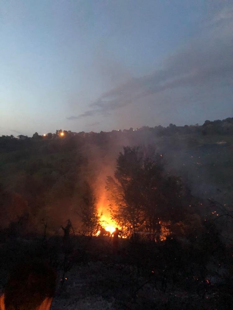 Bahçesindeki otları yakmak isterken ormanı yakıyordu