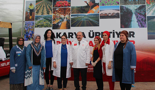 Bakan Varank Akyazı'da domates hasadı yaptı