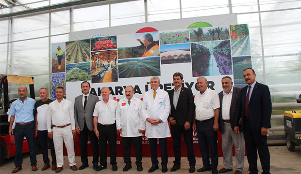 Bakan Varank Akyazı'da domates hasadı yaptı