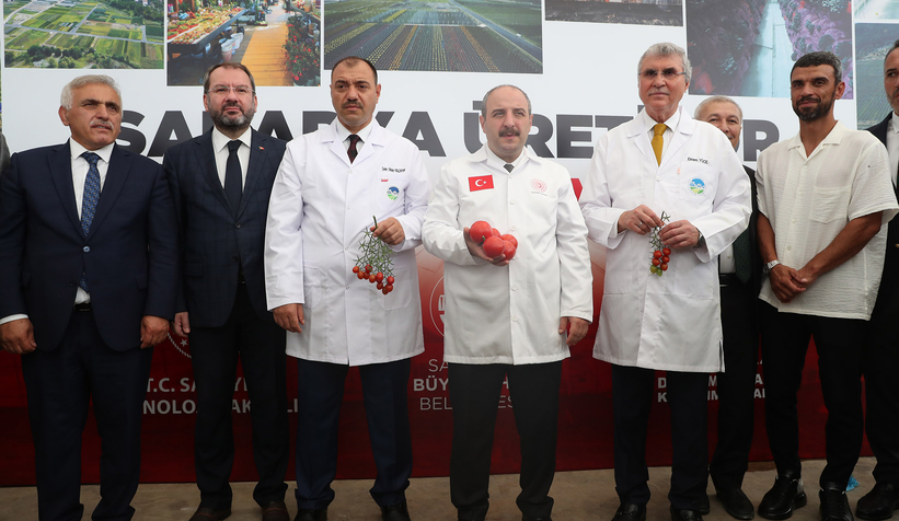 Bakan Varank Akyazı'da domates hasadı yaptı