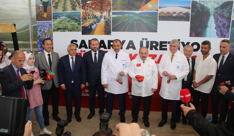 Bakan Varank Akyazı'da domates hasadı yaptı