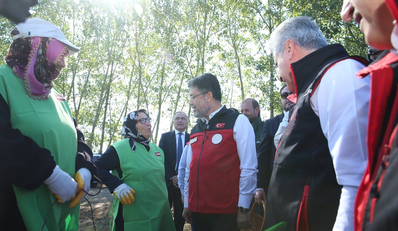 Bakan Yumaklı Sakarya'da kivi topladı