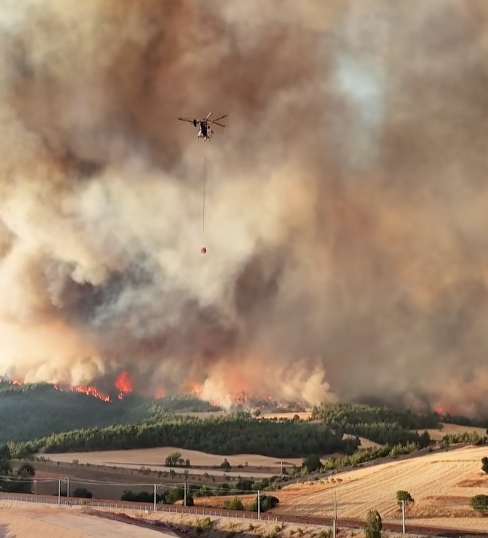Bakandan Geyve'de çıkan Bilecik'e sıçrayan yangınla ilgili açıklama