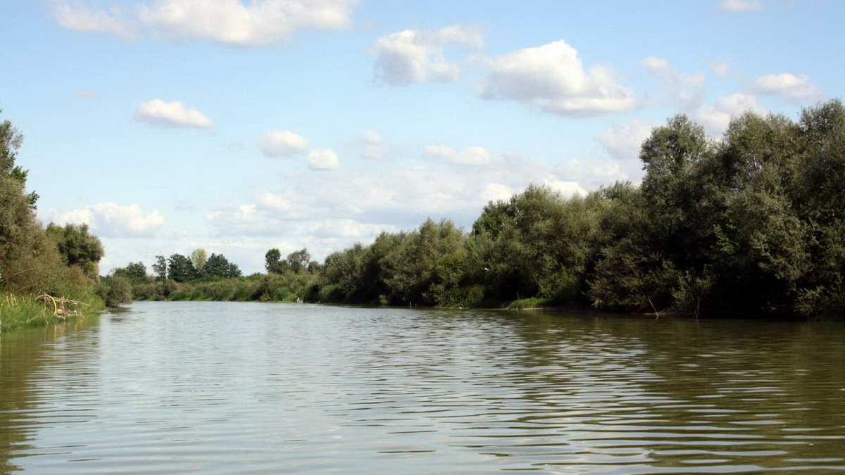 Bakanlıktan Sakarya Nehri için temizlik talimatı