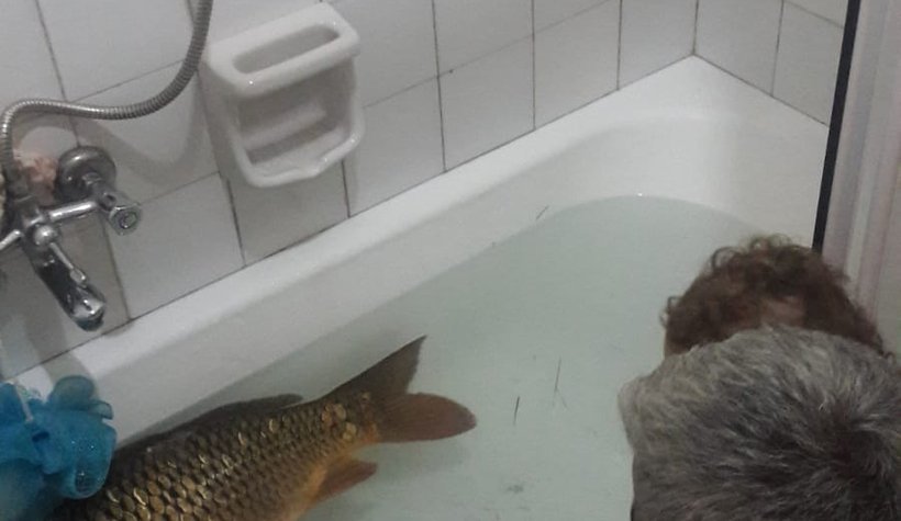 Balığı küvete saldı!