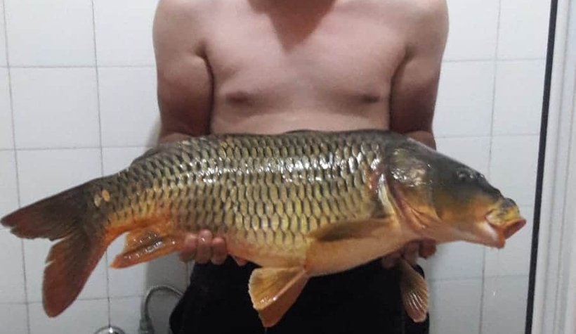 Balığı küvete saldı!