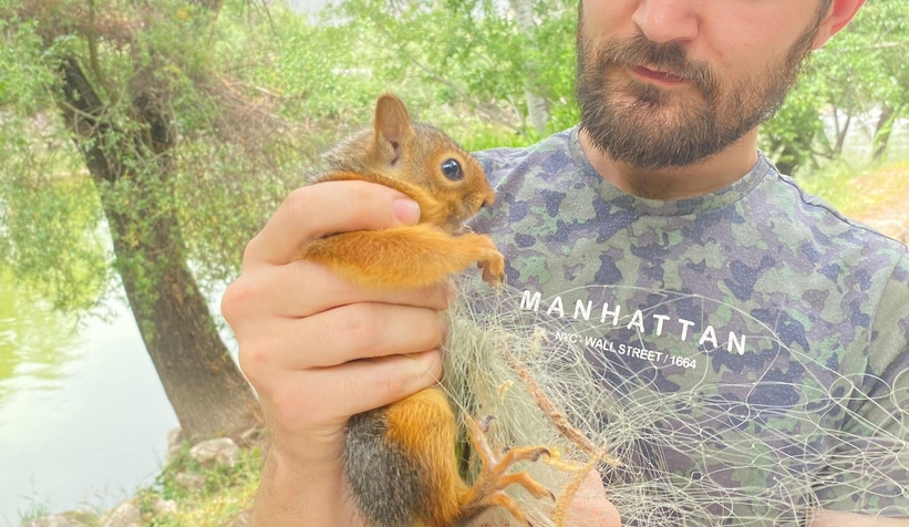 Balık filesine takılan sincap kurtarıldı