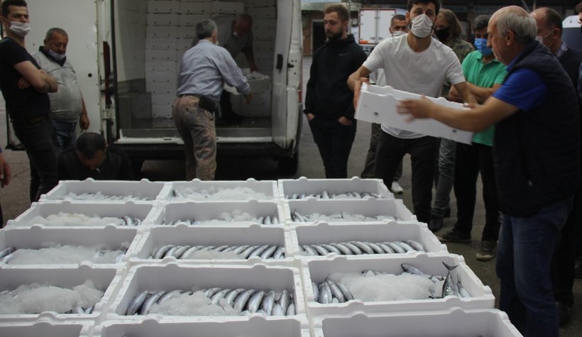 Kasalar dolusu palamutla döndüler