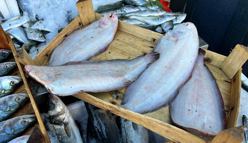 Balıkçı Hüseyin'de tezgahlarda şenlendi, fiyatlar düştü