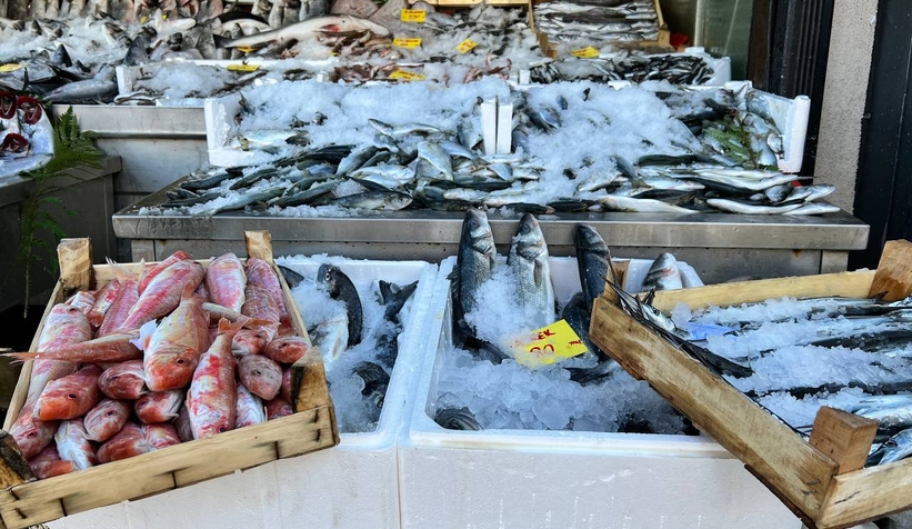 Balıkçı Hüseyin'de tezgahlarda şenlendi, fiyatlar düştü