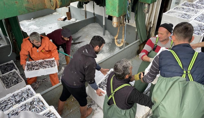 Balıkçılar tonlarca hamsiyle döndü