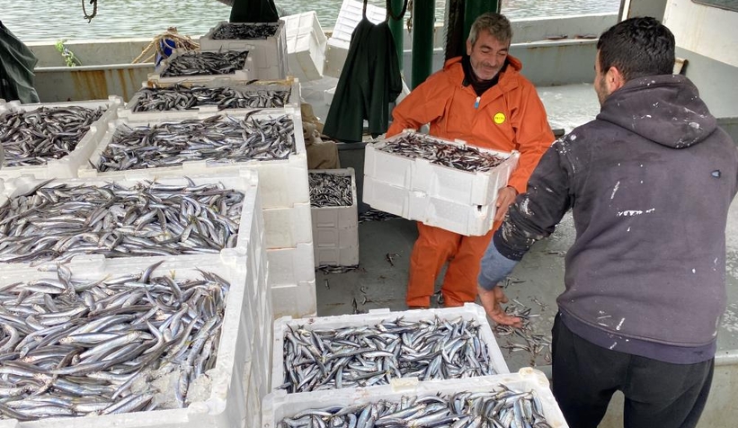 Balıkçılar tonlarca hamsiyle döndü