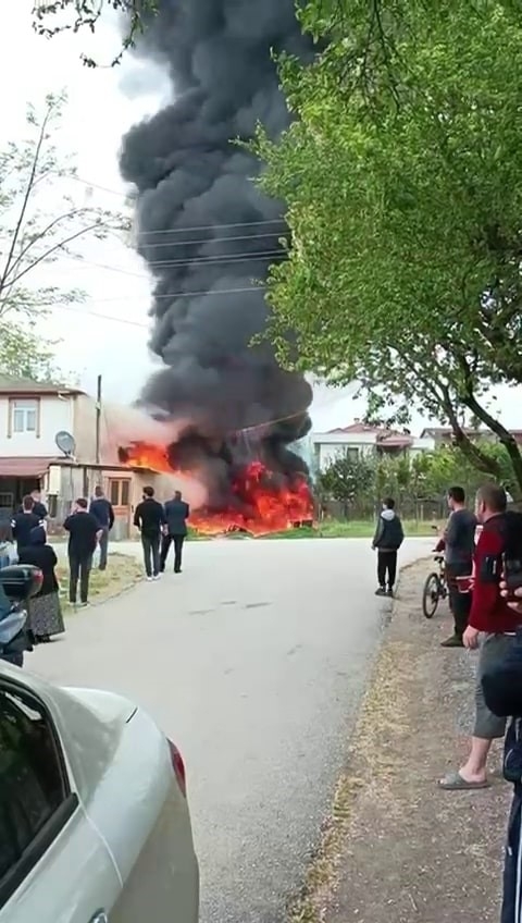 baraka-alev-alev-yandim1l3ae8zmg