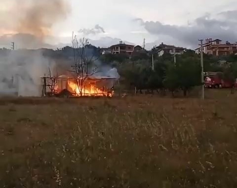 Baraka küle döndü