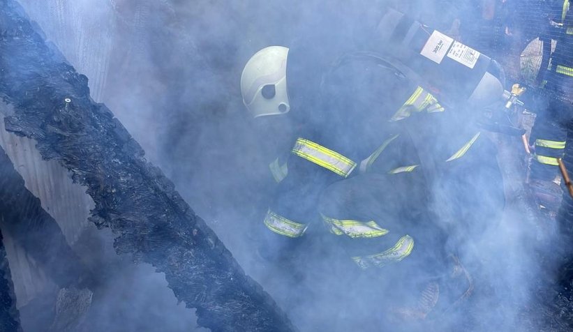 Barakada yangın çıktı, 11 köpek telef oldu