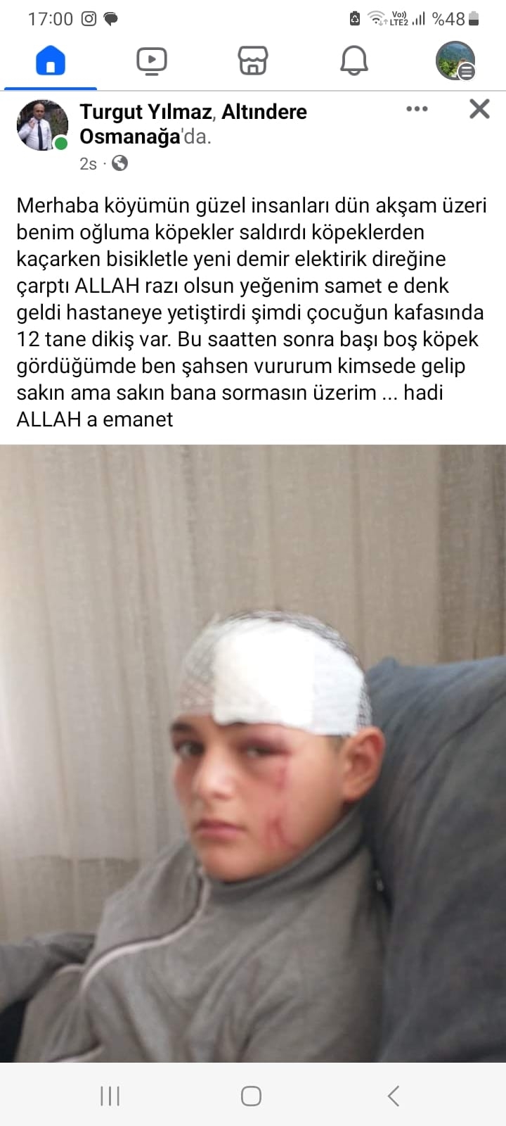 basibos-kopekler-cocugu-bu-hale-getirdictjynllwb0