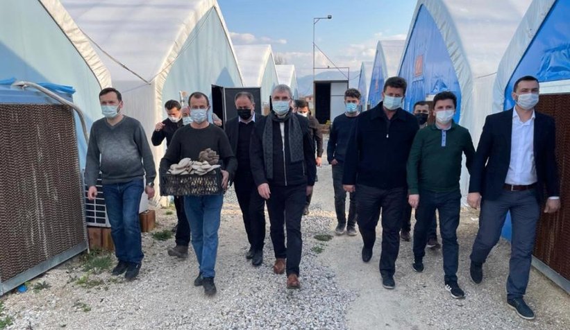 Başkan Yüce, 10 K'nın Mantar Tesisinde hasat yaptı