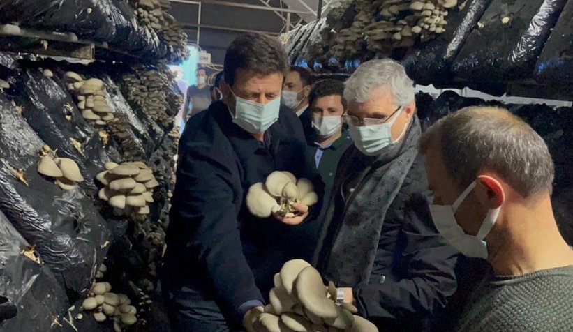 Başkan Yüce, 10 K'nın Mantar Tesisinde hasat yaptı