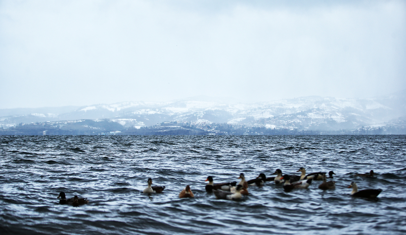 Başkan Yüce'den rahatlatan açıklama