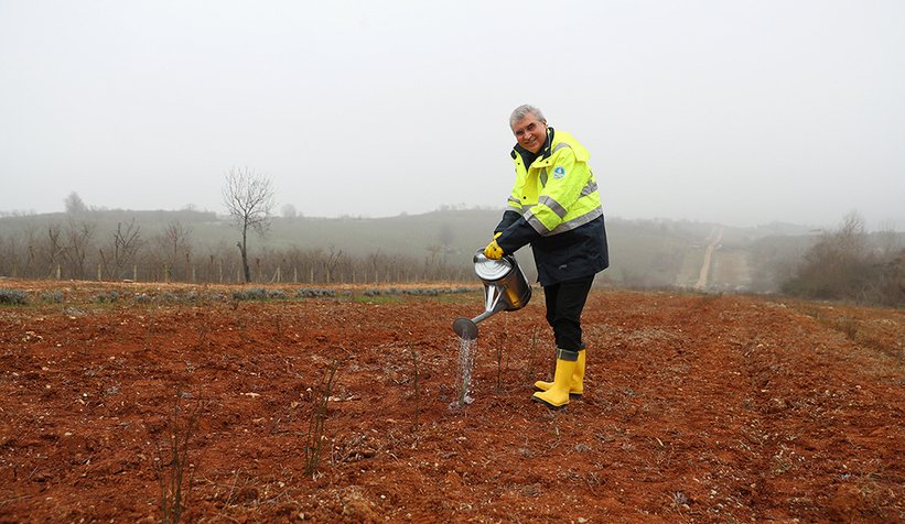 Başkan Yüce kuşburnu ekti