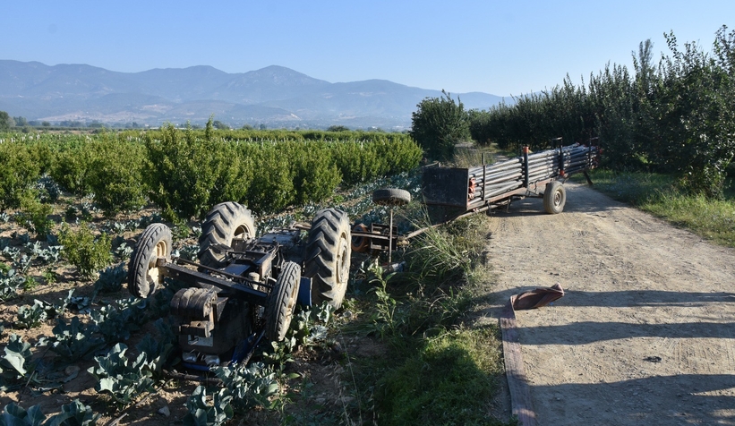 Başkan Yüce'nin yeğeni kazada hayatını kaybetti