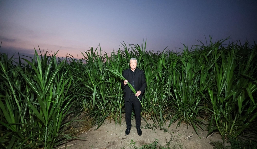 Başkan Yüce Şili'den getirtmişti; İlk hasadı yapıldı