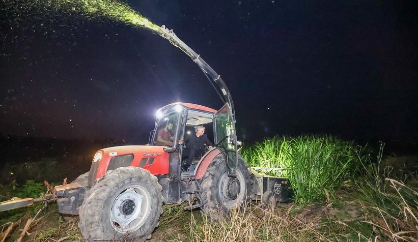 Başkan Yüce Şili'den getirtmişti; İlk hasadı yapıldı