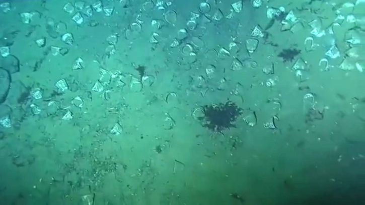 Batık gemide 200 ton altın bulundu