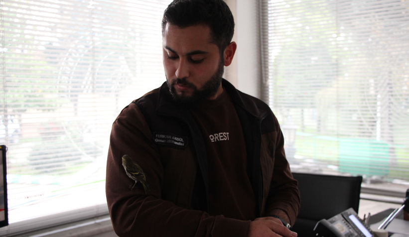 Baygın halde bulunan Kara başlı iskete tedavi altına alındı