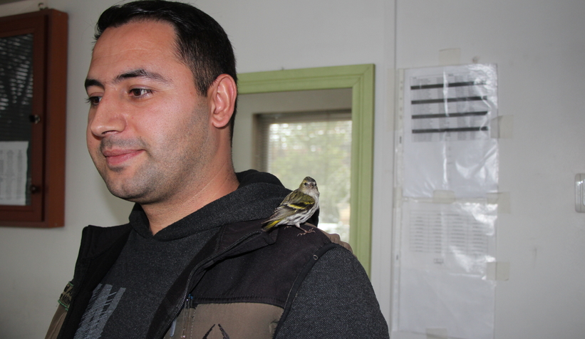 Baygın halde bulunan Kara başlı iskete tedavi altına alındı