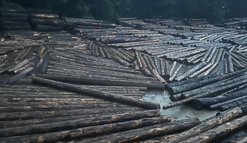Bayraktar ve Bayrak selden etkilenen firmaları ziyaret etti