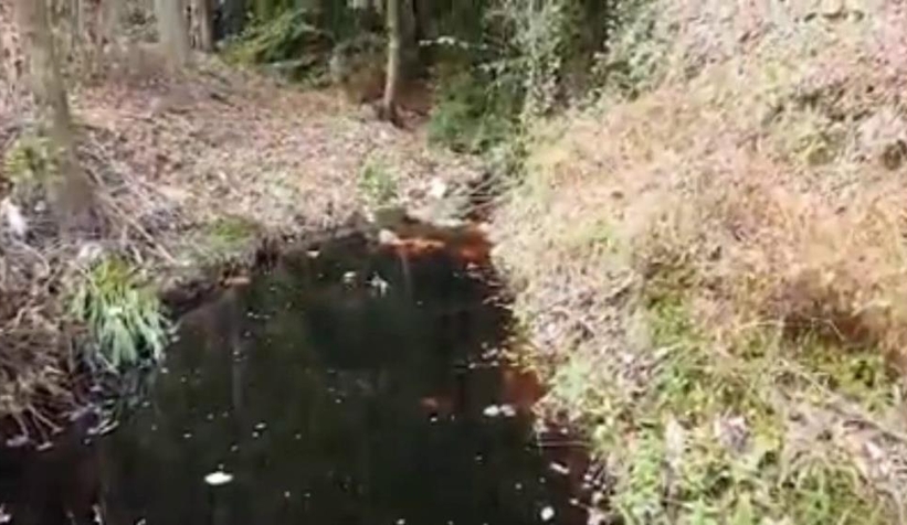 Bayram'ın ölümünde dere suyu zehirledi iddiası