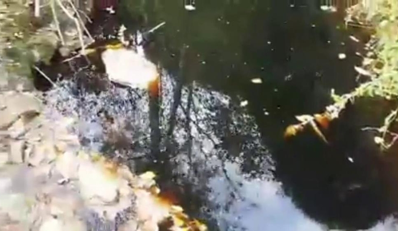 Bayram'ın ölümünde dere suyu zehirledi iddiası