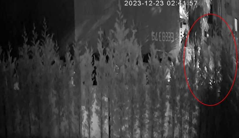 Bebeğine mama almaya çıktı, dehşeti yaşadı