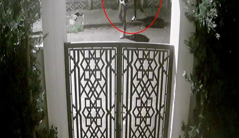 Bebeğine mama almaya çıktı, dehşeti yaşadı