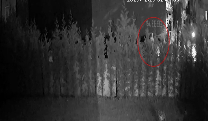 Bebeğine mama almaya çıktı, dehşeti yaşadı