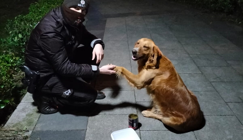 Bekçiler sokak hayvanlarını besledi