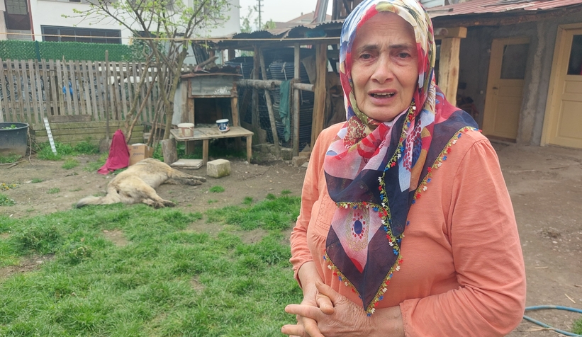 belediye-ekibi-evin-bahcesindeki-sahipli-hayvani-oldurdurfffwgfztw