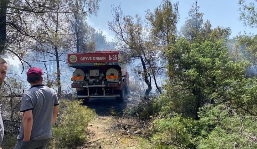 bilecik-sakarya-sinirinda-orman-yanginitfbnr3zls2