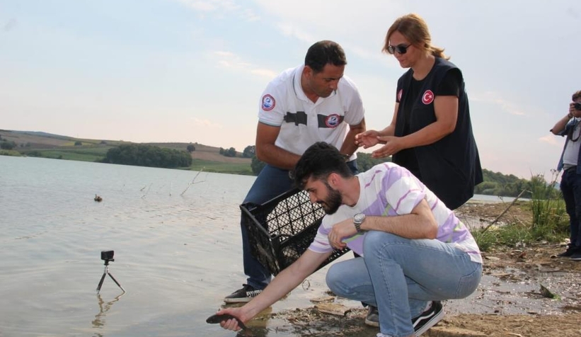 Bin sazan balığı, miniklerin elleriyle suyla buluştu