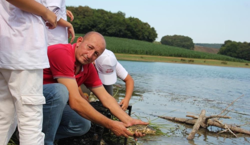 Bin sazan balığı, miniklerin elleriyle suyla buluştu