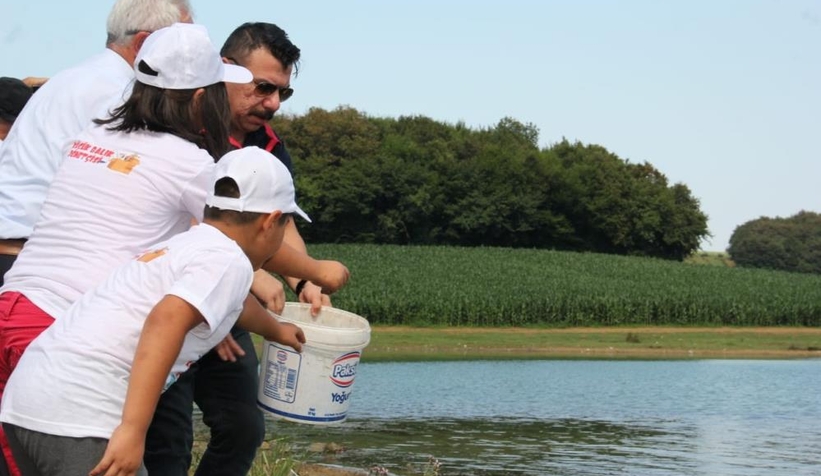 Bin sazan balığı, miniklerin elleriyle suyla buluştu