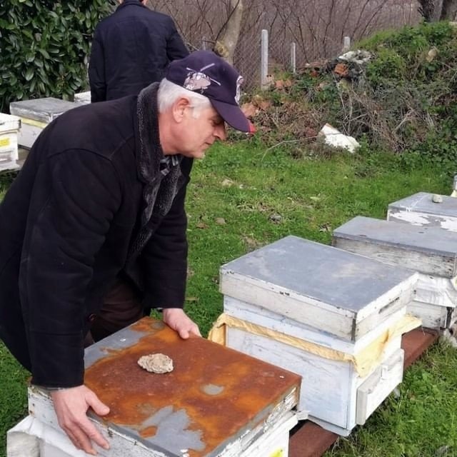 Binlerce arısı telef oldu