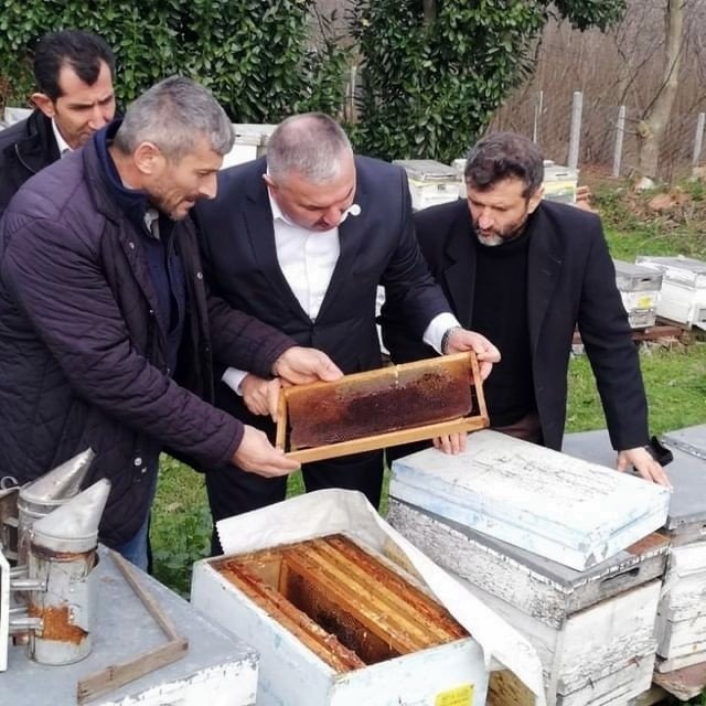 Binlerce arısı telef oldu