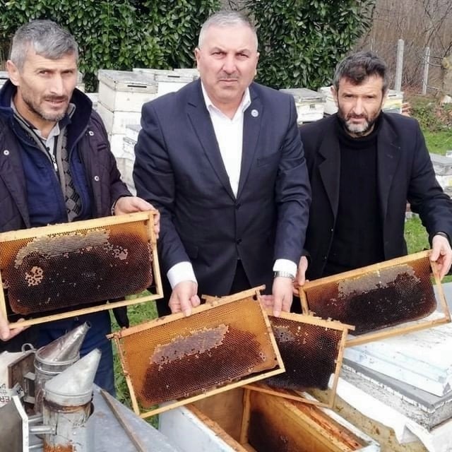 Binlerce arısı telef oldu