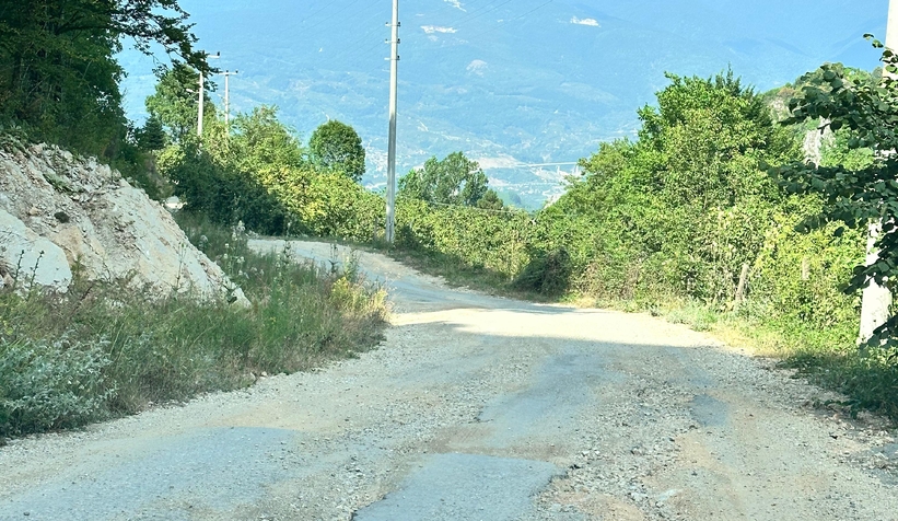 bir-kisi-oldu-vatandas-tepki-gosterdi-baskan-rest-cektitdf6qzbtwl