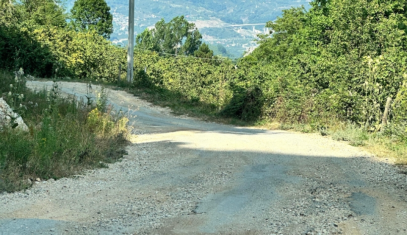 bir-kisi-oldu-vatandas-tepki-gosterdi-baskan-rest-cektitdf6qzbtwl