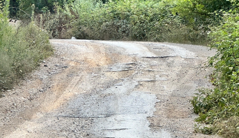 bir-kisi-oldu-vatandas-tepki-gosterdi-baskan-rest-cektitdf6qzbtwl