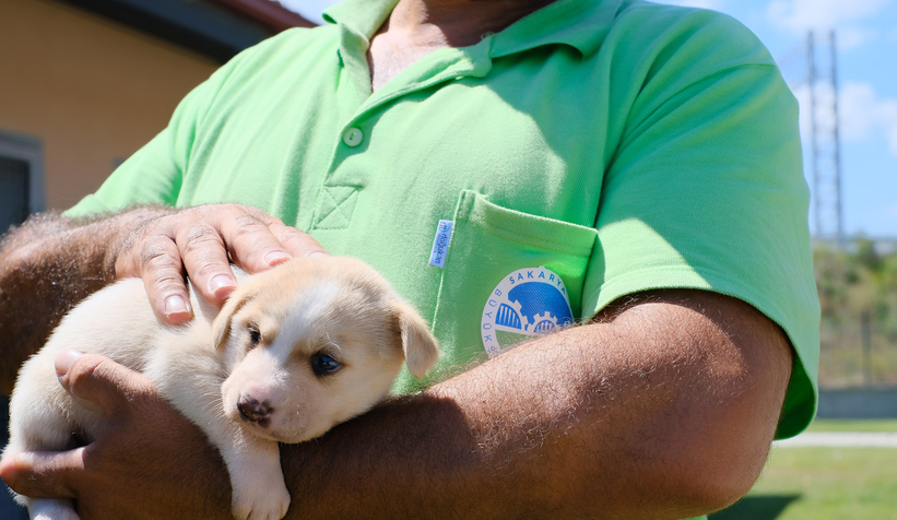 Bölgenin en büyük hastanesi can dostlara kucak açtı