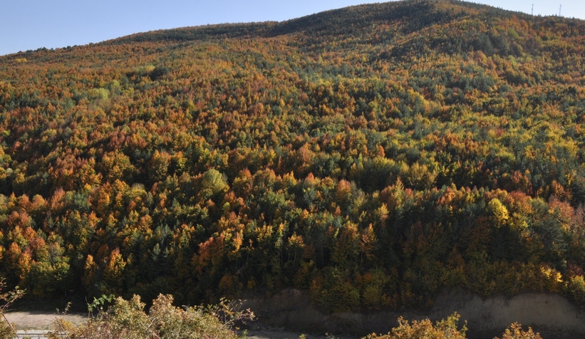 Bolu'dan sonbahar manzaraları